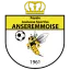 Vereinslogo Fußballverein RJS Anseremmoise