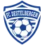 Clublogo voetbalvereniging FC Destelbergen