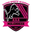 Vereinslogo Fußballverein ASA Molenbeek B