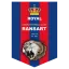Vereinslogo Fußballverein RUFC Ransart