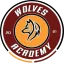 Vereinslogo Fußballverein FC Wolves Brussels